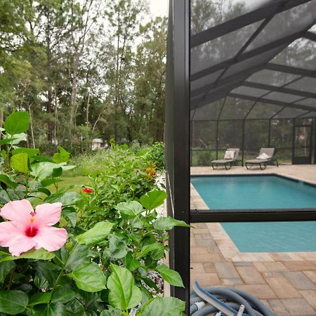 Pet-Friendly, Heated Pool, Close To Everything 3 Bedroom Home Даннеллон Экстерьер фото