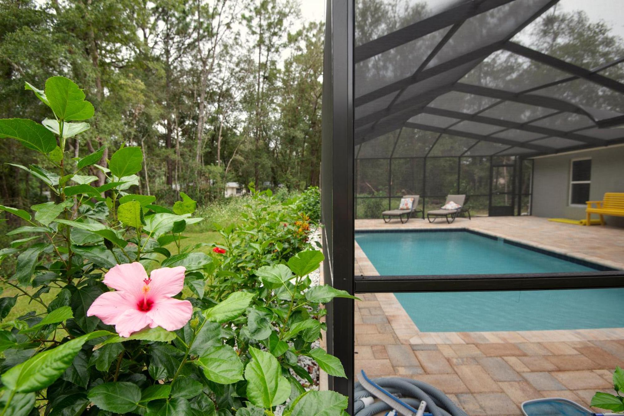 Pet-Friendly, Heated Pool, Close To Everything 3 Bedroom Home Даннеллон Экстерьер фото